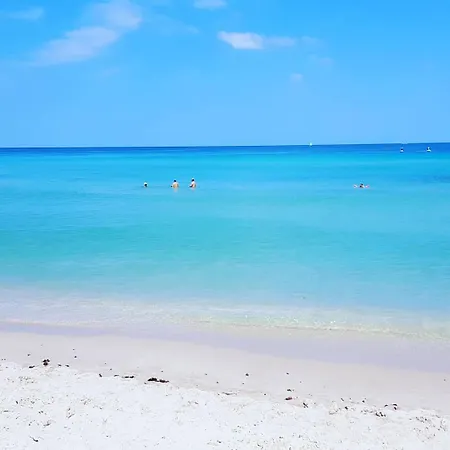Miami Hollywood Condo For 4 People 001-21Vic